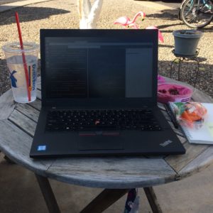 A laptop on a small wooden table outdoors, with a cup of water on the left and carrots and beet hummus on the right. Two pink flamingos and a potted plant are in the background.