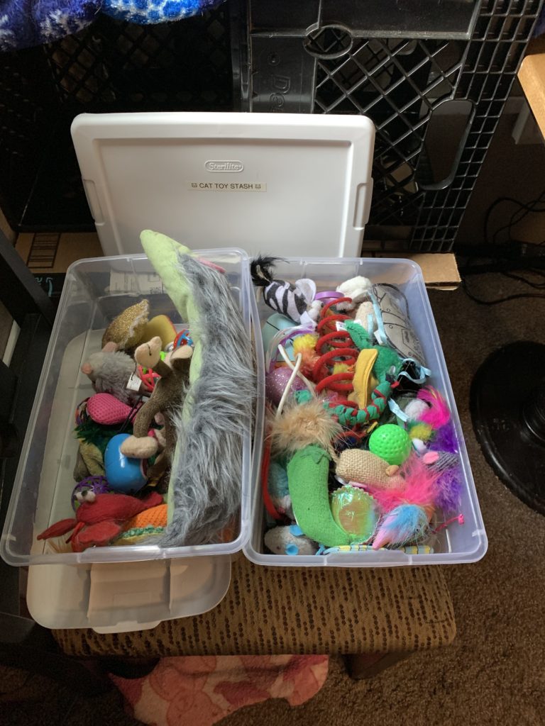 two open shoe boxes filled with cat toys.