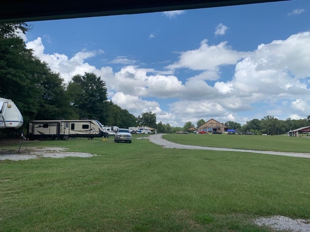 a large grassy field with a row of trees on the left and an couple RVs spread out under the trees. A gravel road winds off into the distance.
