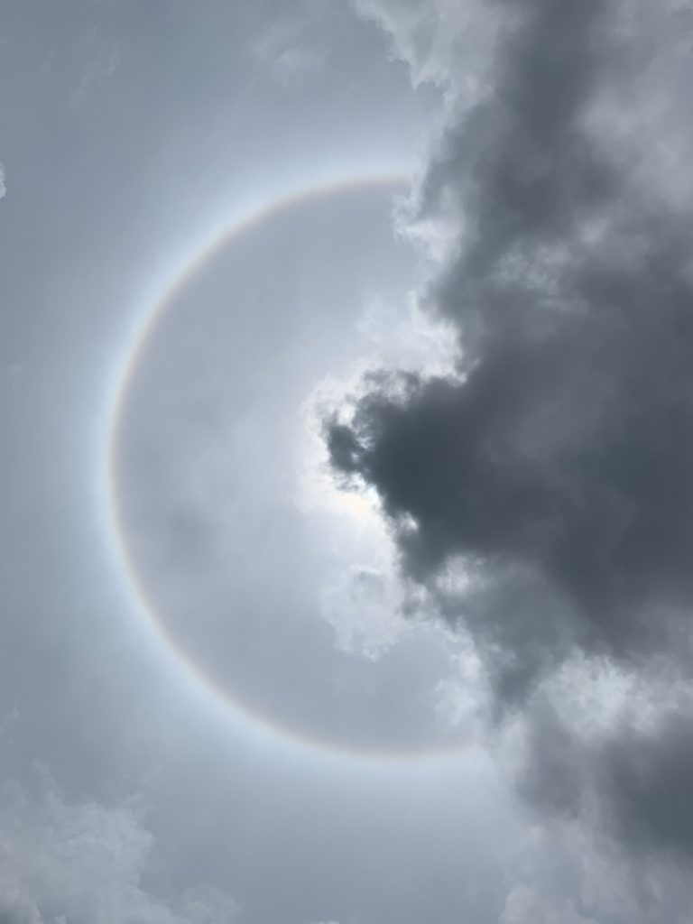 The sun directly overhead with a round rainbow circling it, partially instructed by a cloud.