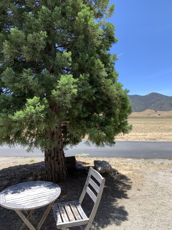 A photo looking out over a wooden chair of a large tree on the left, a large field, and mountains in the background. The sky is blue.