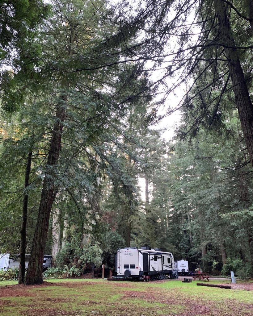 The back of a travel trailer with a spacious stretch of grass and many redwood trees. 