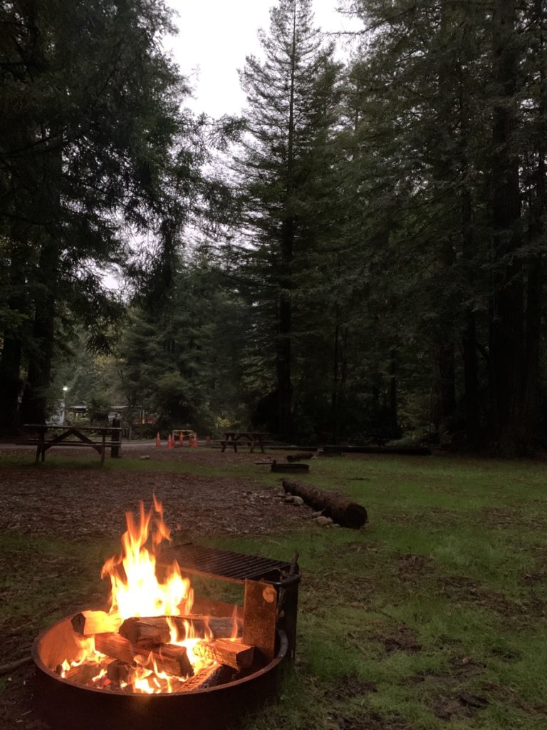 A fire inside a fire pit next to empty campsites. 